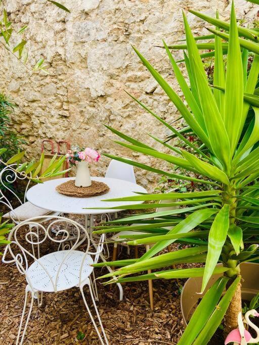 Havre De Paix Avec Jardin Et Clim En Centre Ville De Sète Eksteriør billede