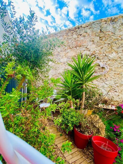 Havre De Paix Avec Jardin Et Clim En Centre Ville De Sète Eksteriør billede