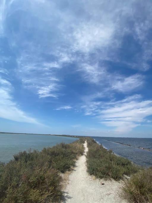 Havre De Paix Avec Jardin Et Clim En Centre Ville De Sète Eksteriør billede